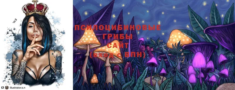 Галлюциногенные грибы Psilocybine cubensis  Карачев 